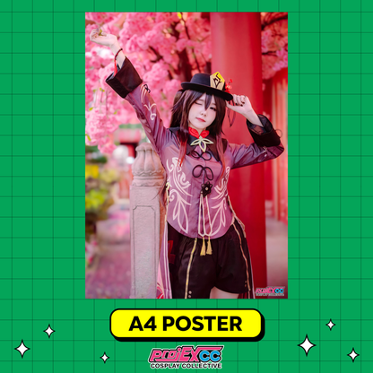 Erria Eri F - A4 Limited Poster