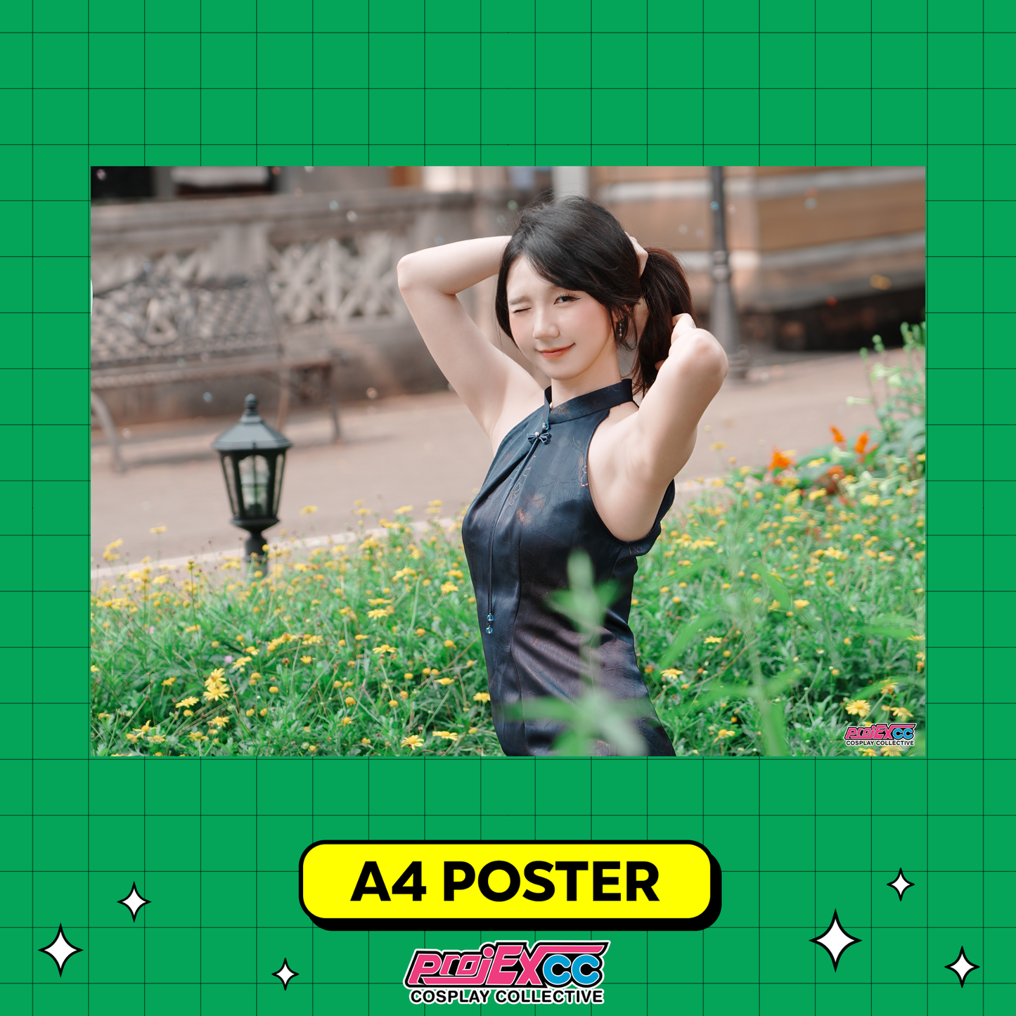 Erria Eri C - A4 Limited Poster