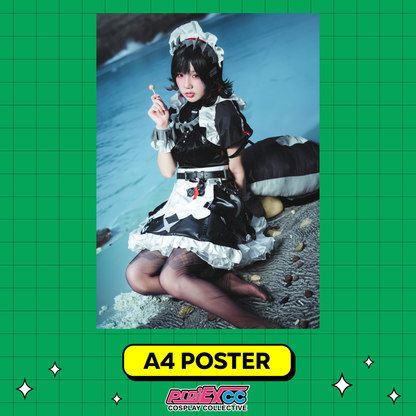 Erria Eri B - A4 Limited Poster