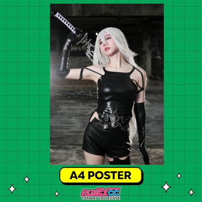 Erria Eri L - A4 Limited Poster